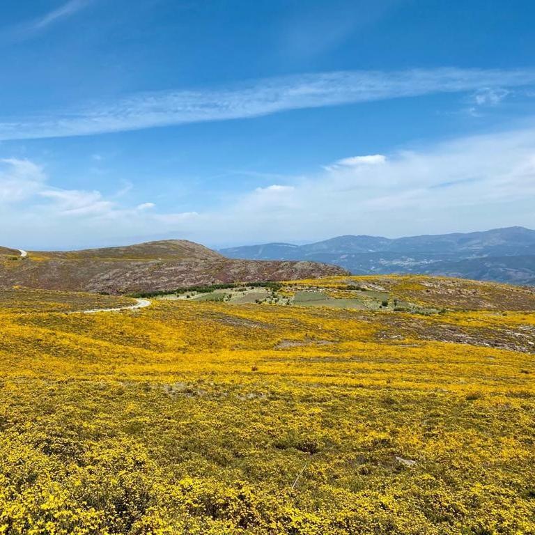 Casa Do Gaio-Turismo De Natureza Arouca Eksteriør billede