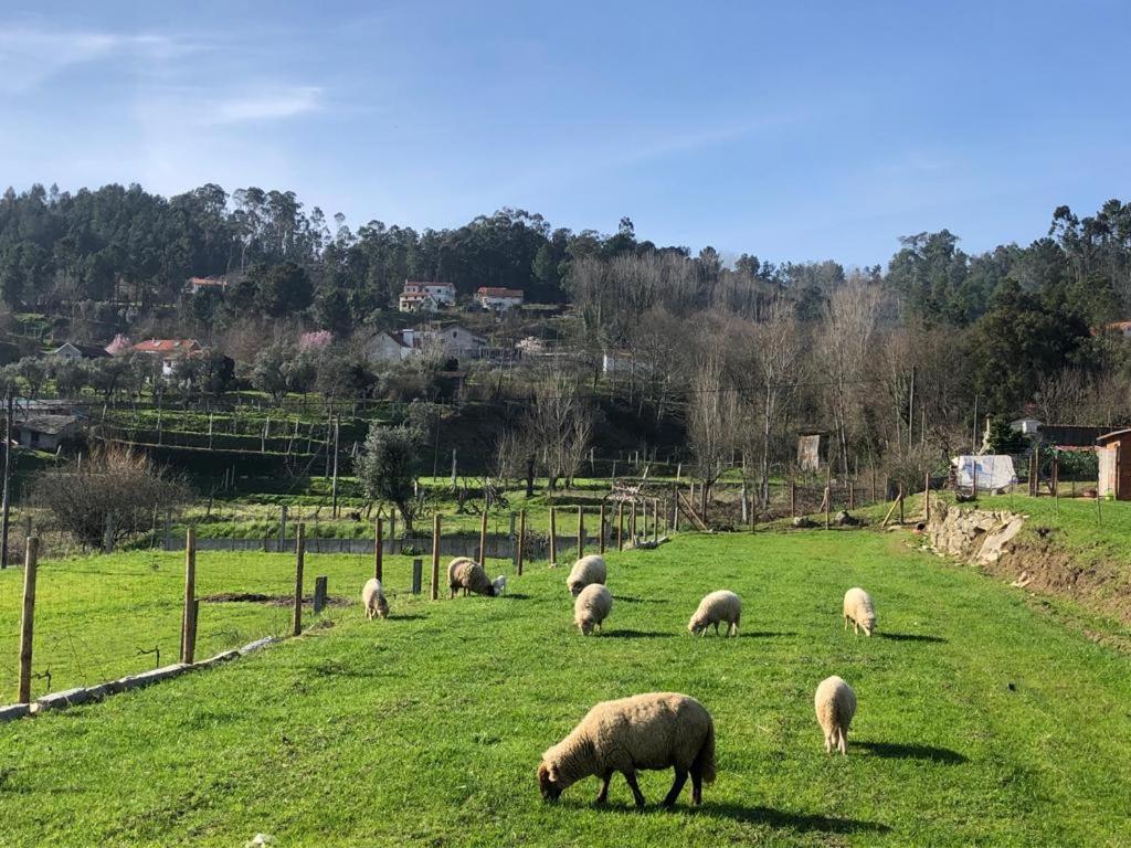 Casa Do Gaio-Turismo De Natureza Arouca Eksteriør billede